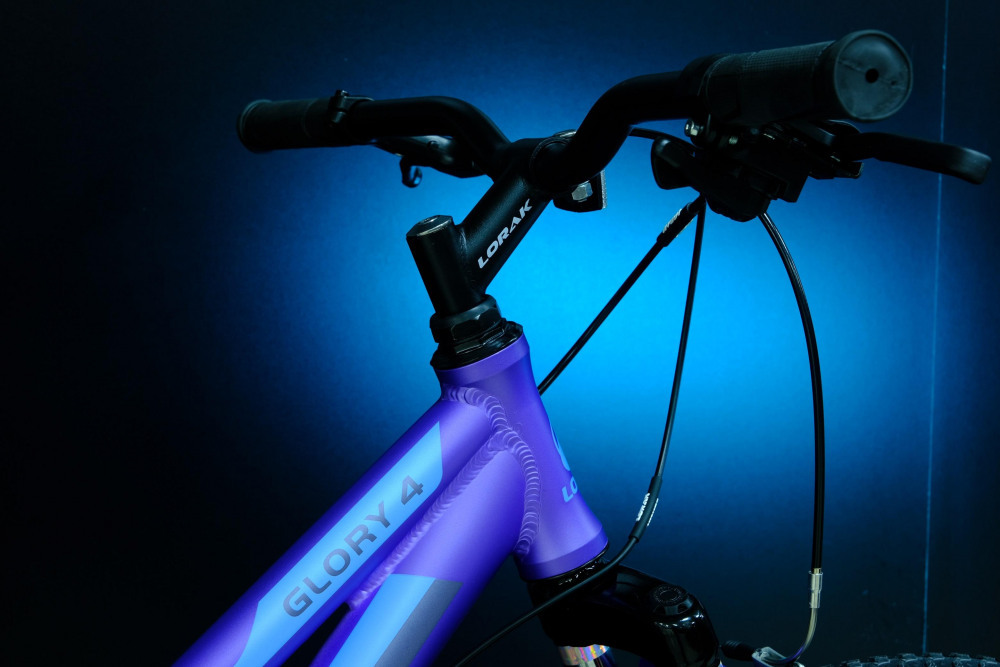 Lorak Glory 4 Матовый Фиолетовый/Голубой рама 17 (на рост 155-173)