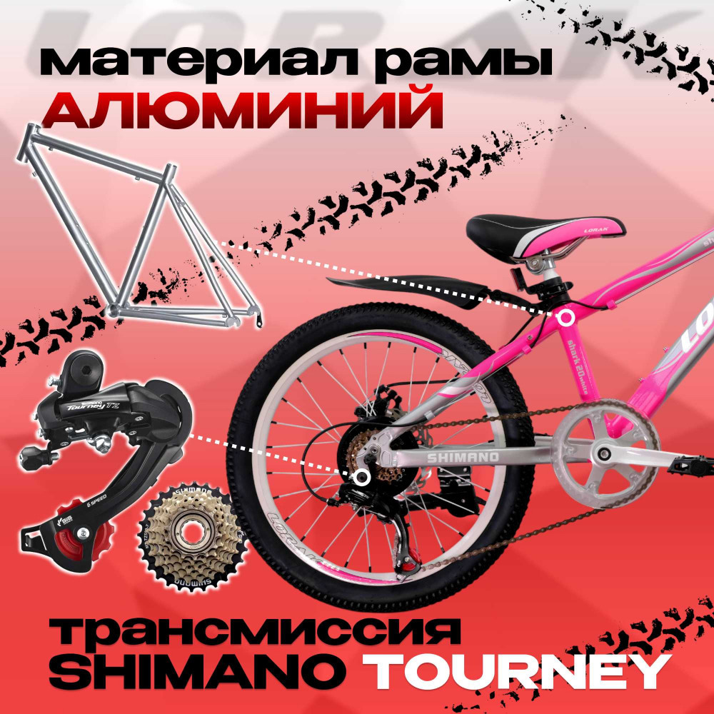 Lorak Shark 20 White